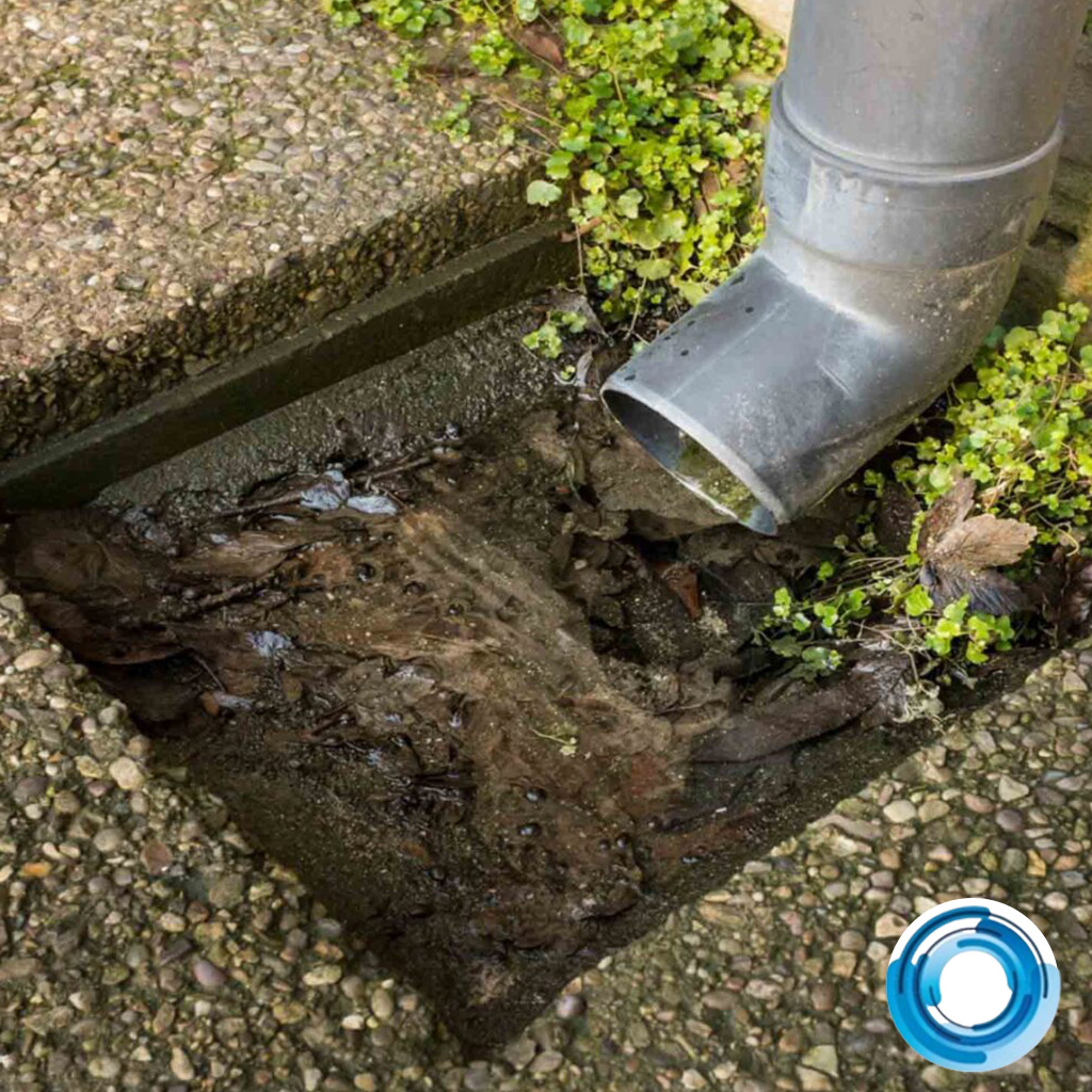 Blocked Outside Drain